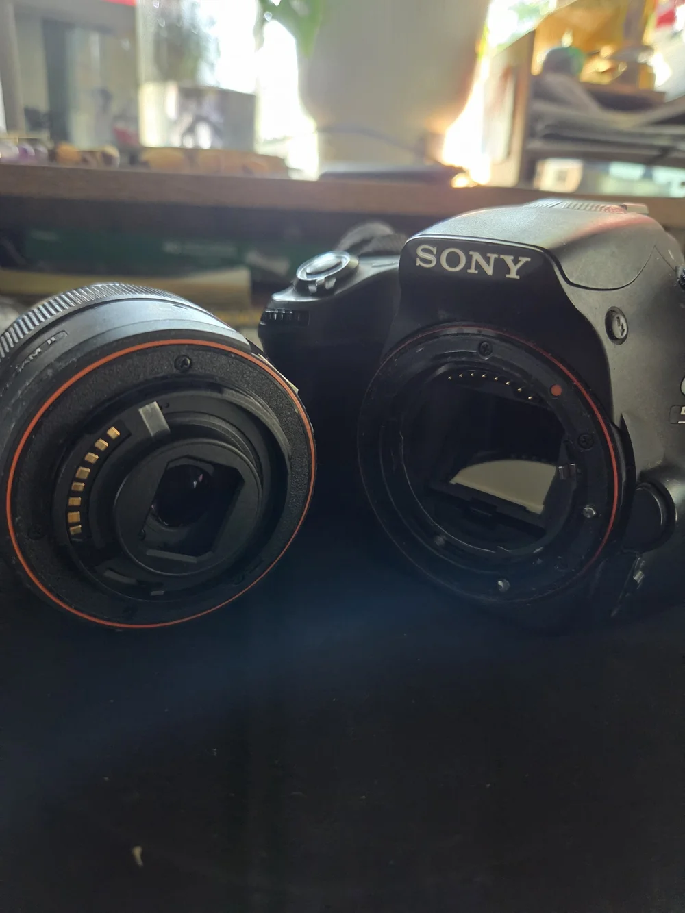 Sony Black DSLR Camera with Built-in Flash